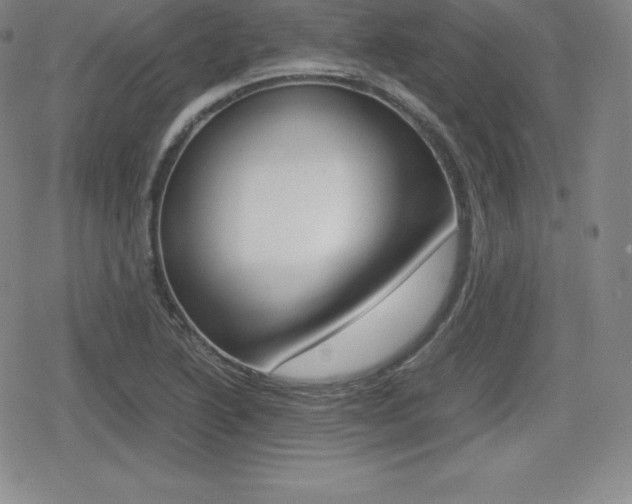 X0000080161222200612081019