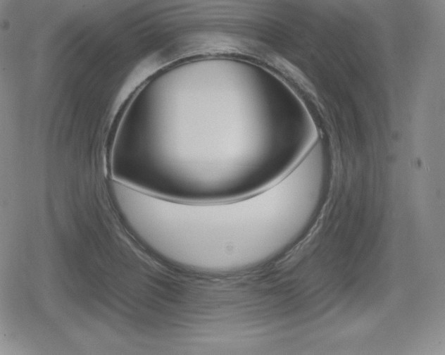 X0000080161226200612081019
