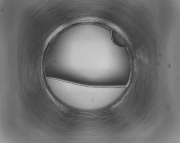 X0000080161229200612081019