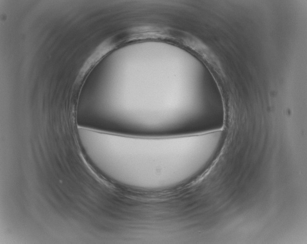 X0000080161233200612081019