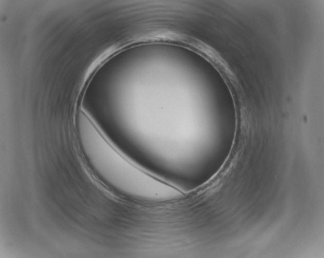 X0000080161234200612081019