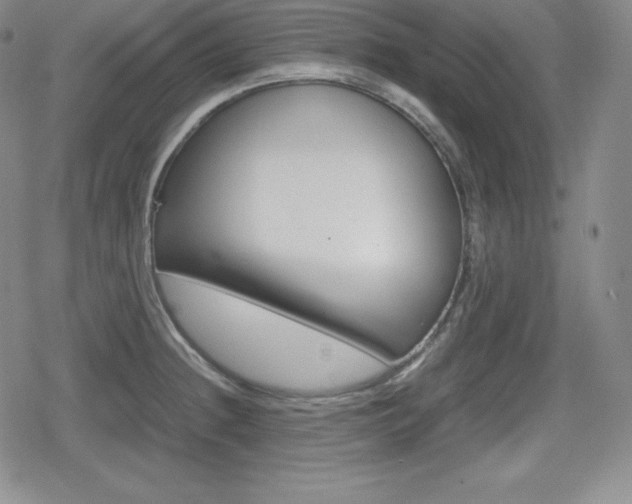 X0000080161236200612081019