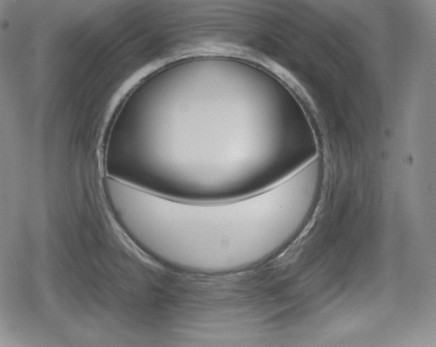 X0000080161238200612081019