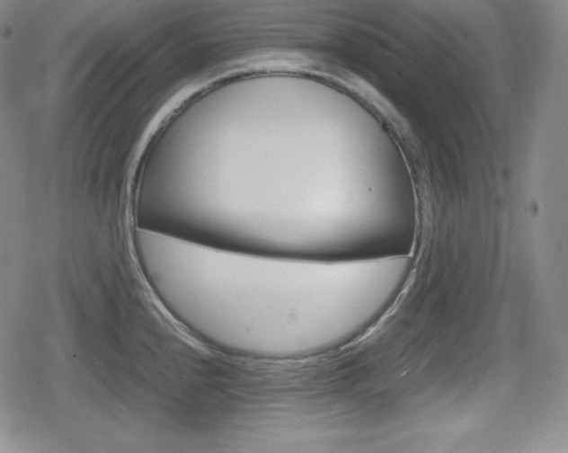 X0000080161240200612081019