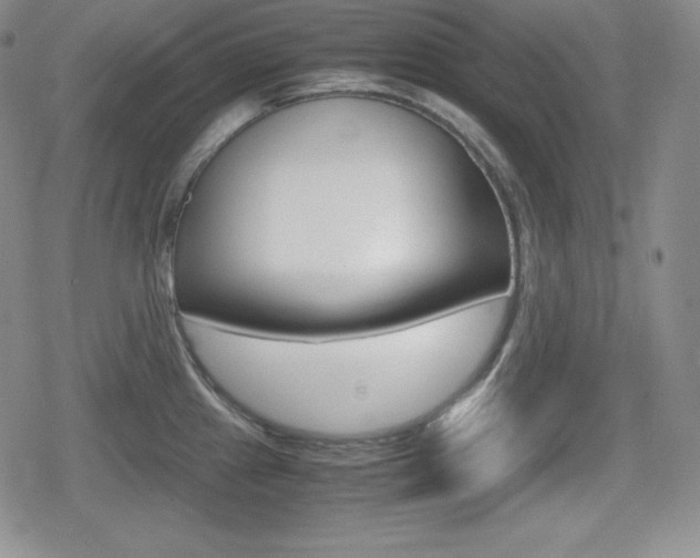 X0000080161241200612081019