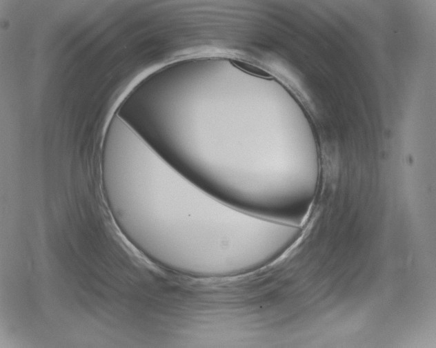 X0000080161244200612081019