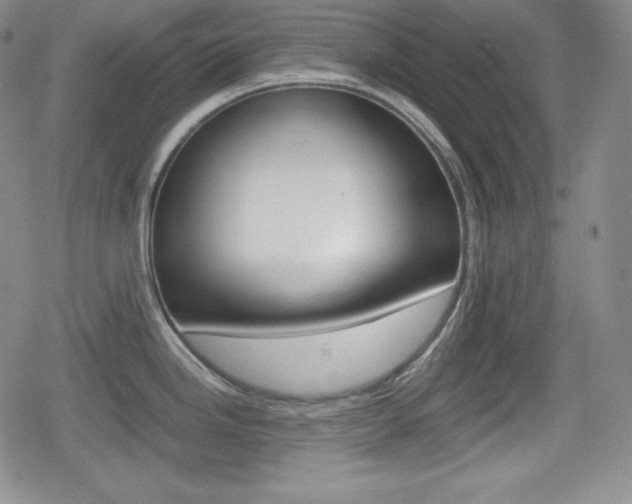 X0000080161246200612081019