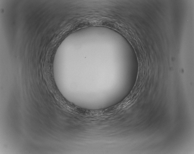 X0000080161249200612081018