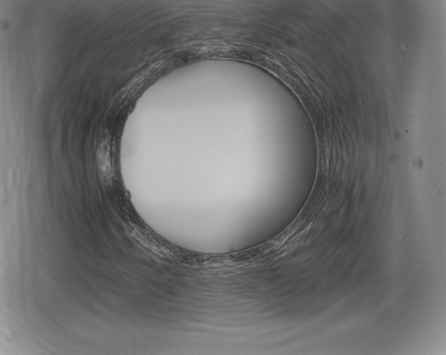 X0000080161250200612081018