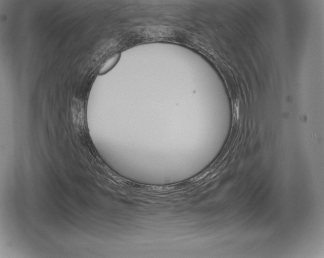 X0000080161251200612081018
