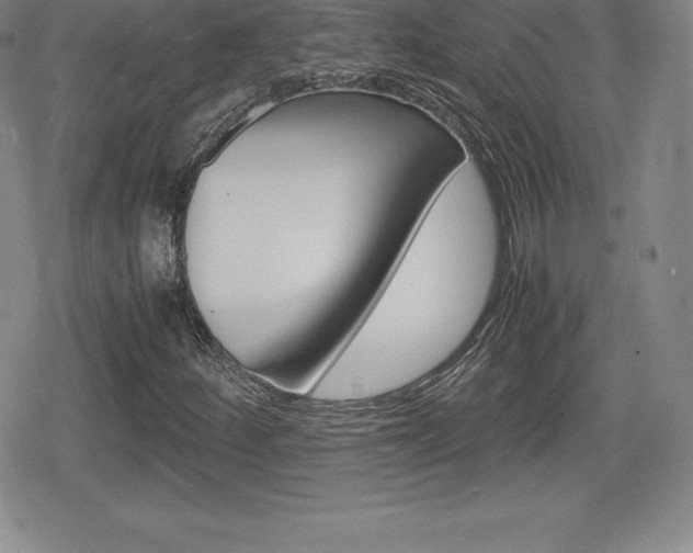 X0000080161252200612081018
