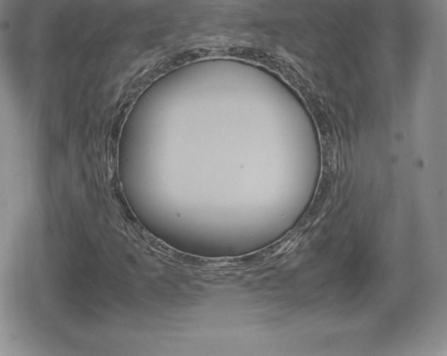 X0000080161253200612081018