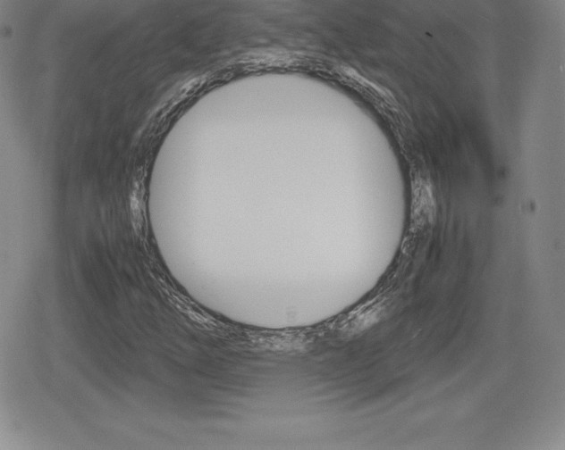 X0000080161254200612081018