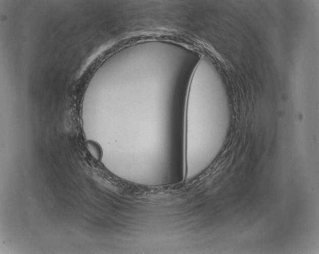 X0000080161256200612081018