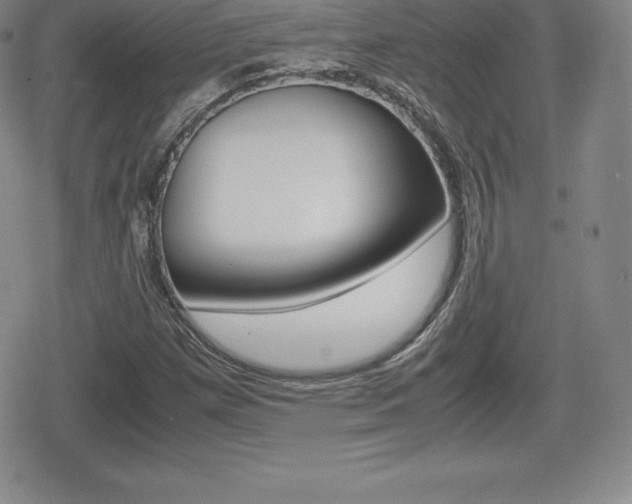 X0000080161257200612081018