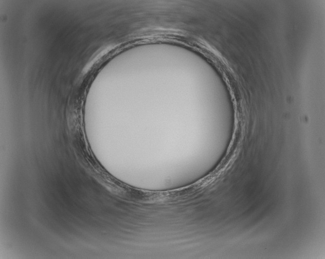 X0000080161259200612081018