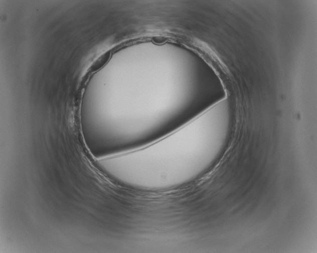 X0000080161260200612081018