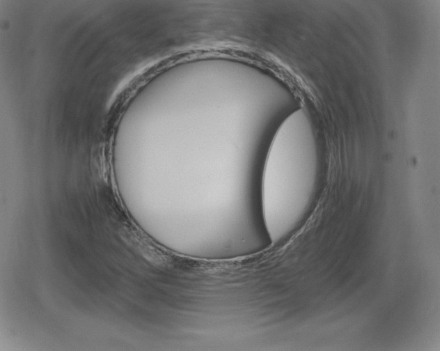 X0000080161262200612081018