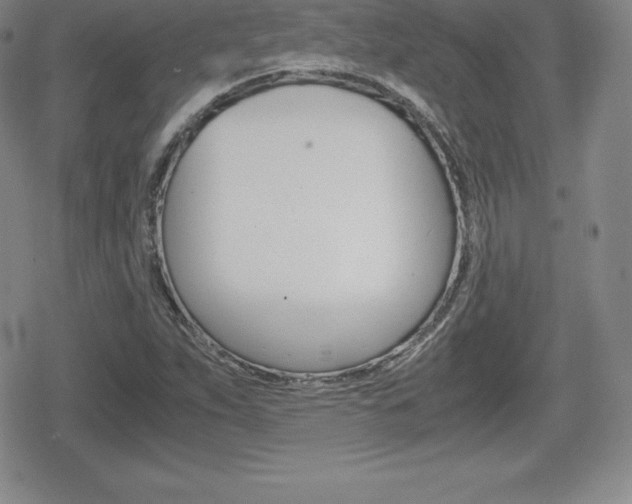 X0000080161263200612081018