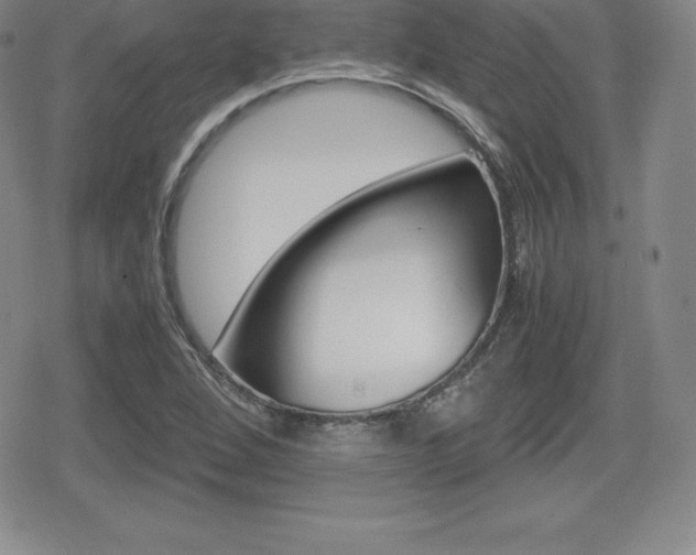 X0000080161264200612081018