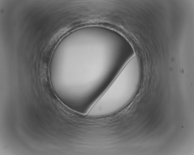 X0000080161265200612081018