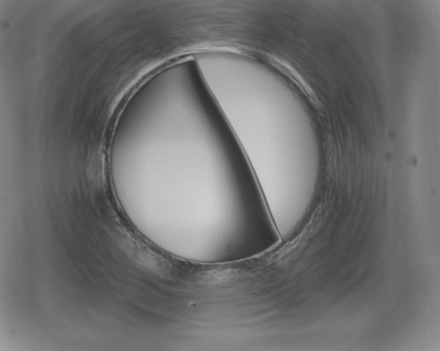 X0000080161268200612081018