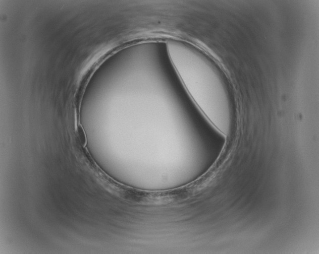 X0000080161269200612081018