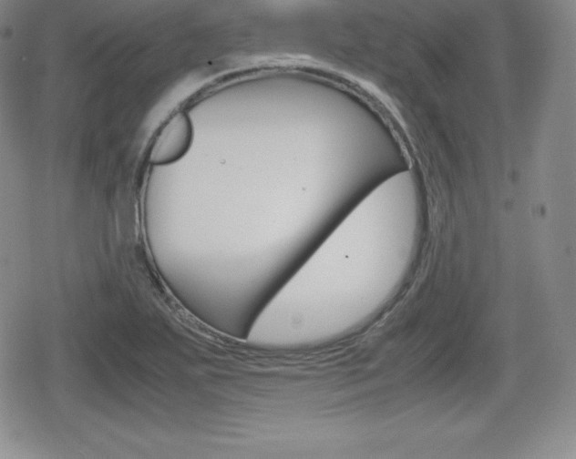 X0000080161271200612081018