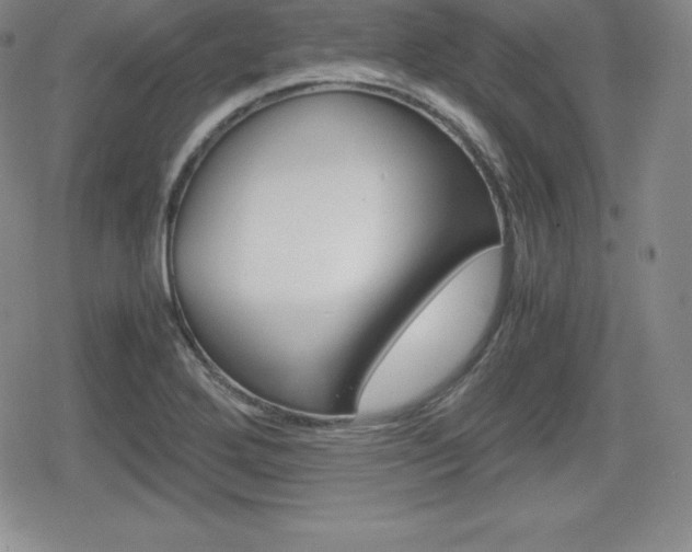 X0000080161272200612081018