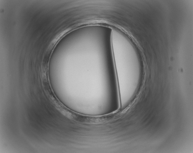X0000080161273200612081018