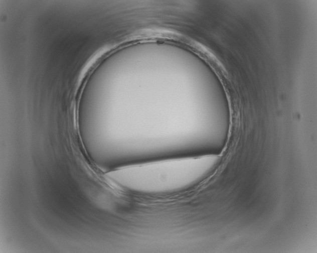 X0000080161275200612081018