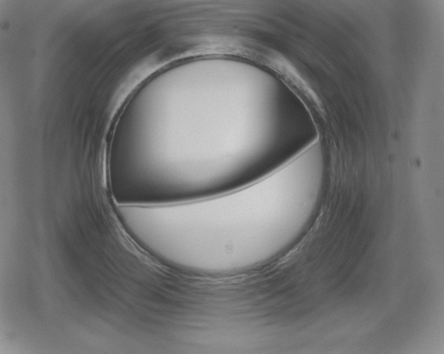 X0000080161276200612081018