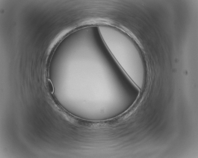 X0000080161277200612081018
