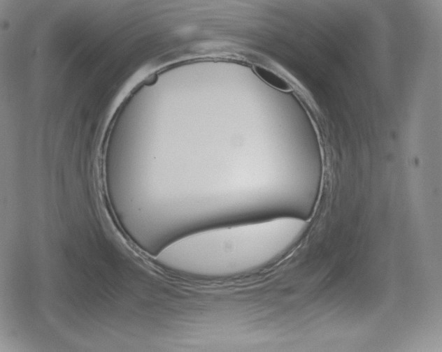 X0000080161291200612081018