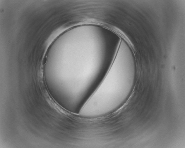 X0000080161292200612081018