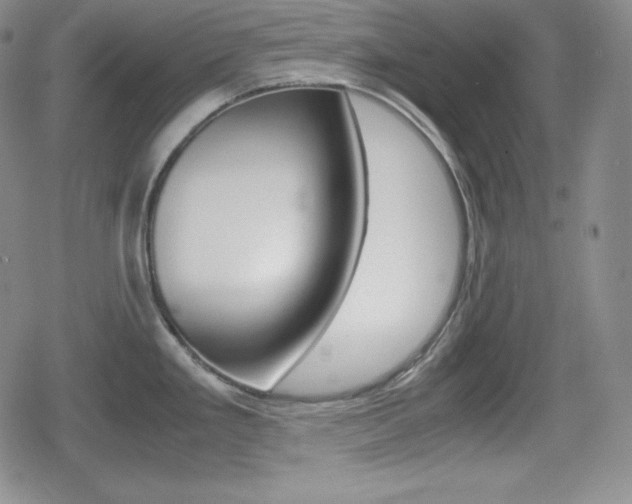 X0000080161293200612081018