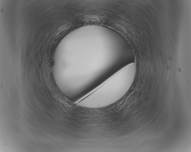 X0000080161297200612081017