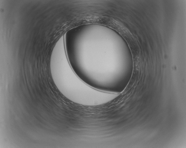 X0000080161298200612081017
