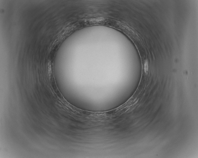 X0000080161299200612081017