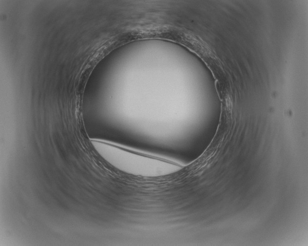 X0000080161300200612081017