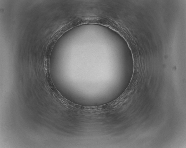 X0000080161301200612081017