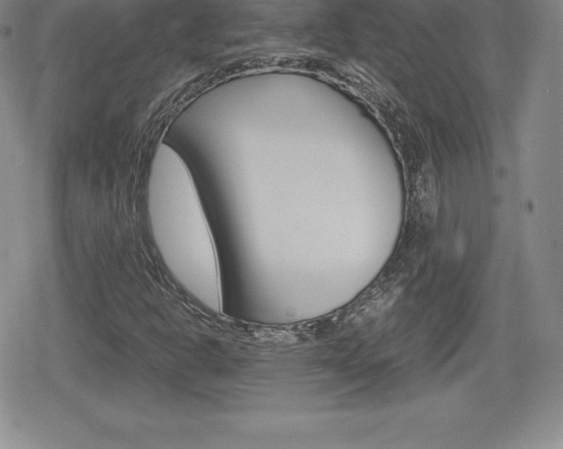 X0000080161302200612081017