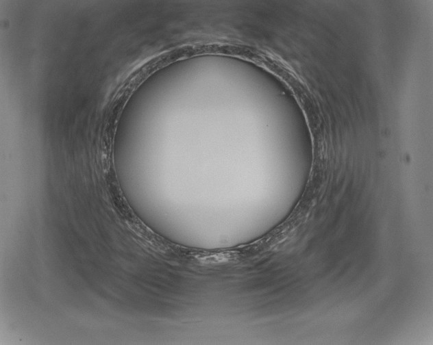 X0000080161303200612081017
