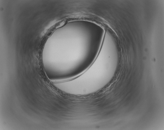 X0000080161304200612081017