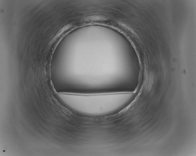X0000080161305200612081017