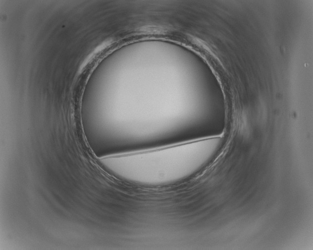 X0000080161307200612081017