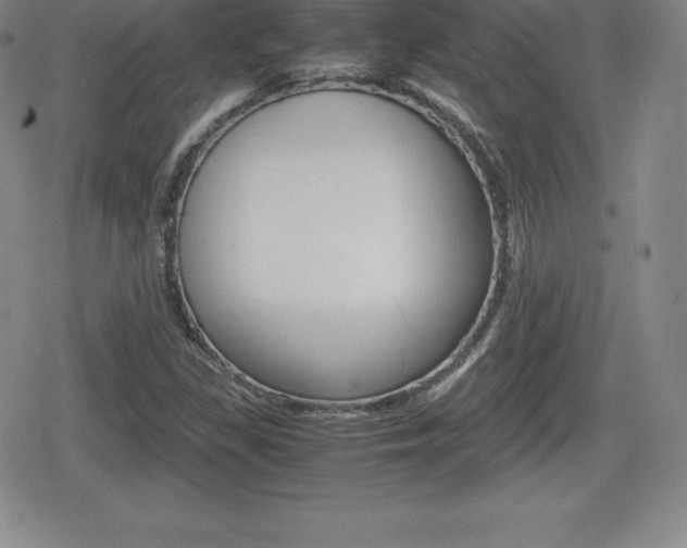 X0000080161309200612081017