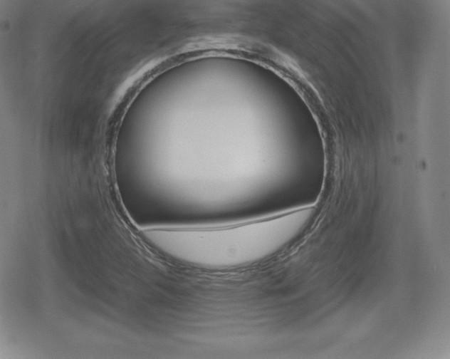 X0000080161312200612081017