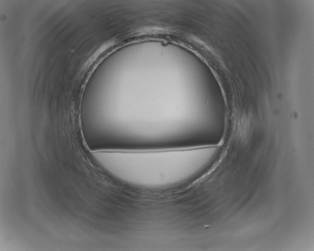X0000080161313200612081017