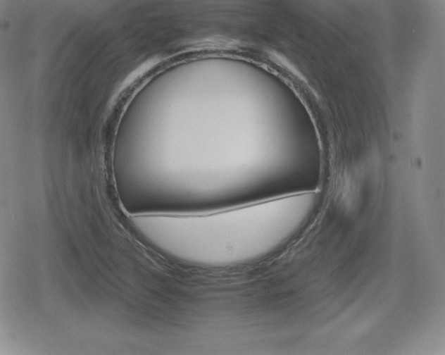 X0000080161315200612081017